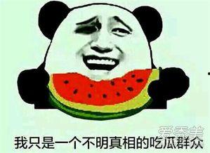 吃瓜群众是啥意思